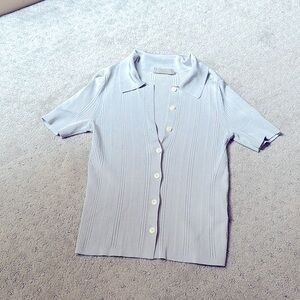 Light blue Everlane button up blouse